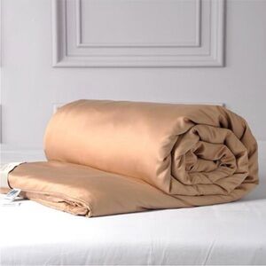 Cuddle Dreams Elegant Bronze Silk Filled Comforter Set (King)
